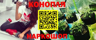 кокс Баксан