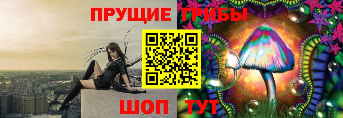 Псилоцибиновые грибы GOLDEN TEACHER  Вход с VPN  Самара  Галлюциногенные грибы Cubensis 