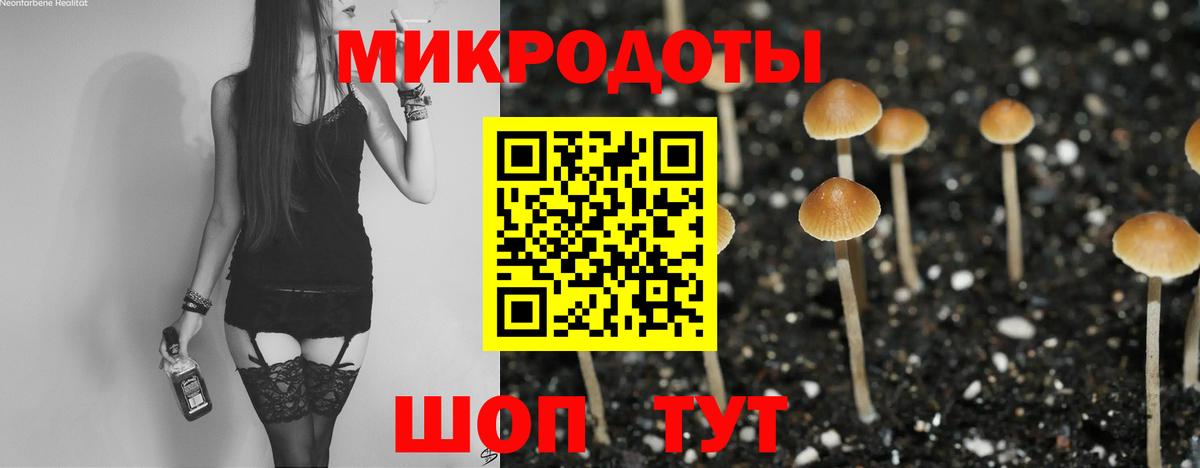 Галлюциногенные грибы прущие грибы Самара